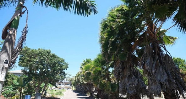 Sixteenth image of Caledonia Lane in Mandeville, Manchester, Jamaica - property is For Sale
