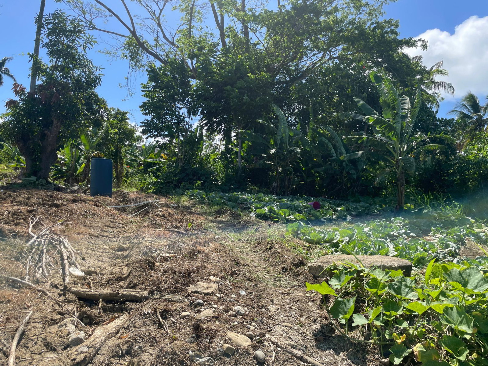 Eleventh image of 16 Sea View, Highgate in Highgate, St. Mary, Jamaica - property is For Sale