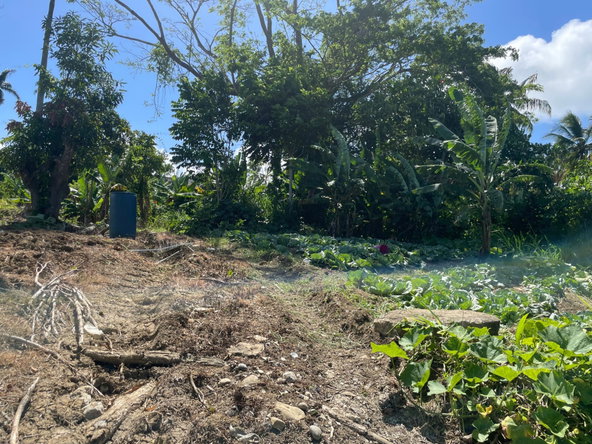 Eleventh image of 16 Sea View, Highgate in Highgate, St. Mary, Jamaica - property is For Sale