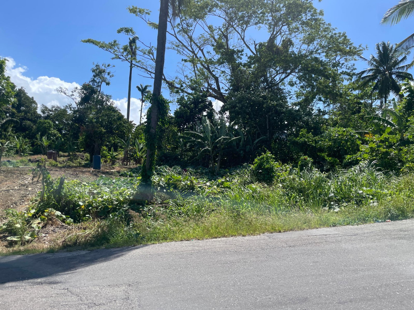 Fourth image of 16 Sea View, Highgate in Highgate, St. Mary, Jamaica - property is For Sale