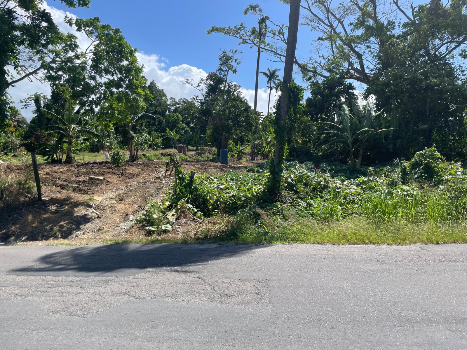 Seventh image of 16 Sea View, Highgate in Highgate, St. Mary, Jamaica - property is For Sale