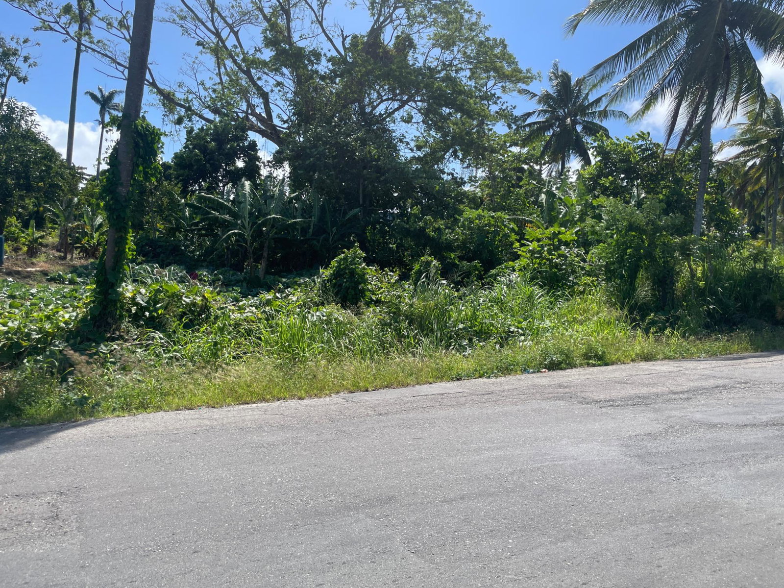 Eighth image of 16 Sea View, Highgate in Highgate, St. Mary, Jamaica - property is For Sale