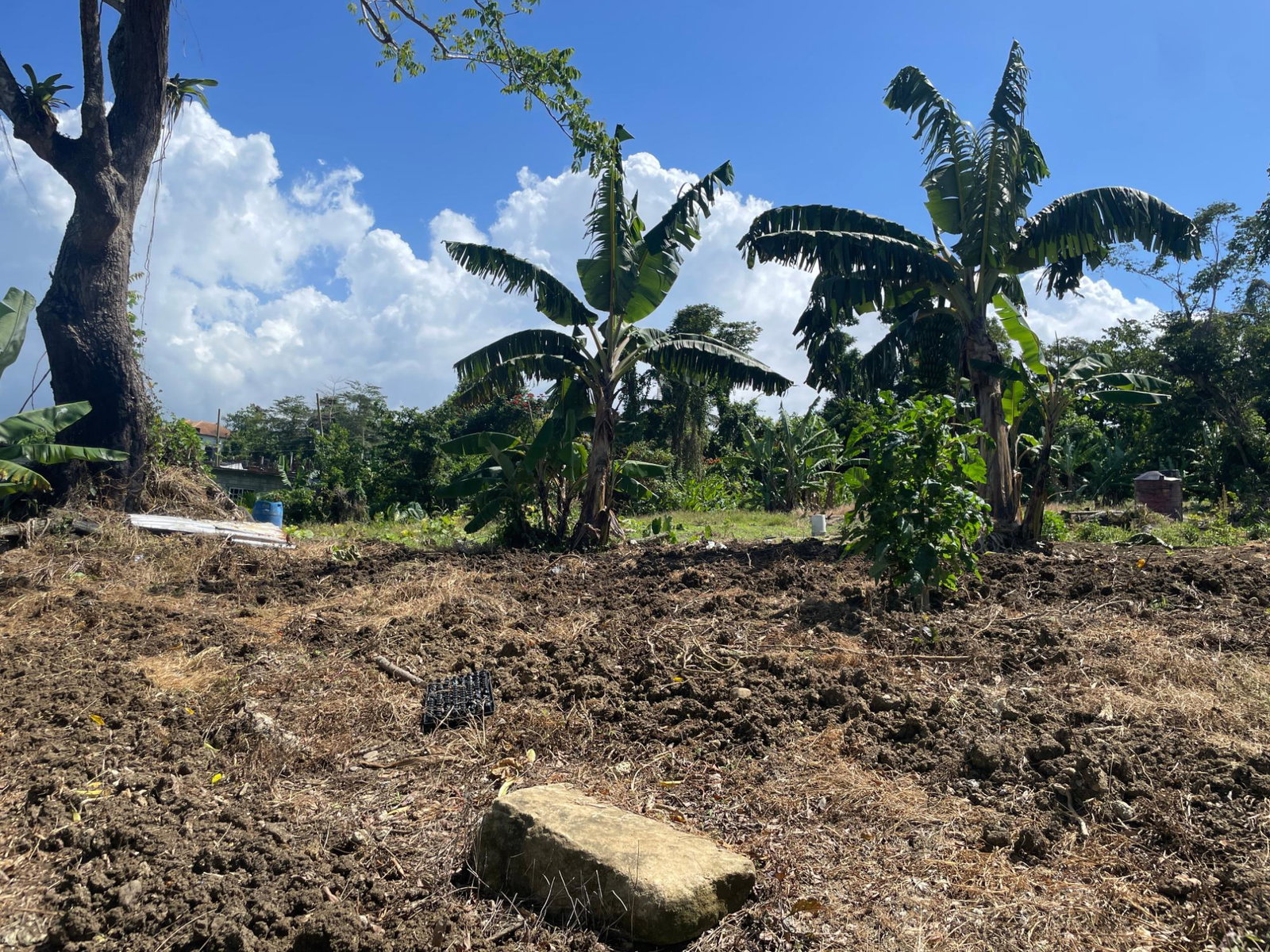 Ninth image of 16 Sea View, Highgate in Highgate, St. Mary, Jamaica - property is For Sale
