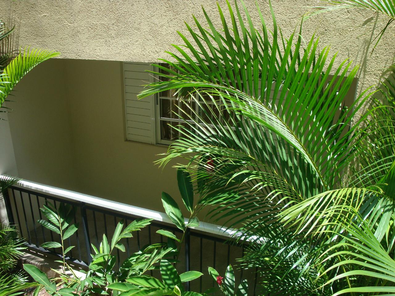 Twelfth image of 7-31 Wellington Drive in Kingston 6, St. Andrew, Jamaica - property is For Rent