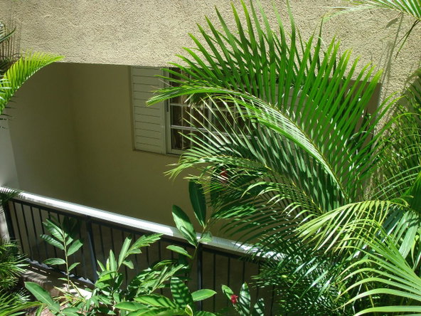 Twelfth image of 7-31 Wellington Drive in Kingston 6, St. Andrew, Jamaica - property is For Rent