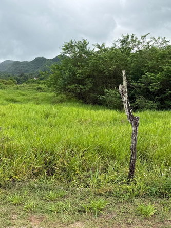 Sixth image of 21 Sunny Heights, Thornton in Thornton, St. Elizabeth, Jamaica - property is For Sale