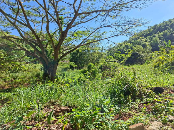 Tenth image of 15 Thompson Boulevard in Kingston 19, St. Andrew, Jamaica - property is For Sale