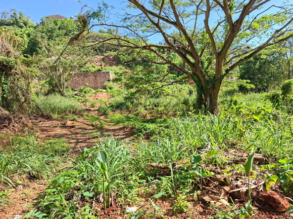 Eleventh image of 15 Thompson Boulevard in Kingston 19, St. Andrew, Jamaica - property is For Sale