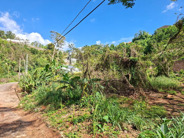Fourteenth image of 15 Thompson Boulevard in Kingston 19, St. Andrew, Jamaica - property is For Sale