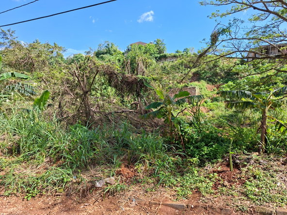 Fifteenth image of 15 Thompson Boulevard in Kingston 19, St. Andrew, Jamaica - property is For Sale