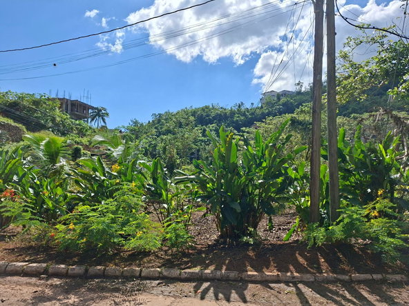 Ninth image of 15 Thompson Boulevard in Kingston 19, St. Andrew, Jamaica - property is For Sale