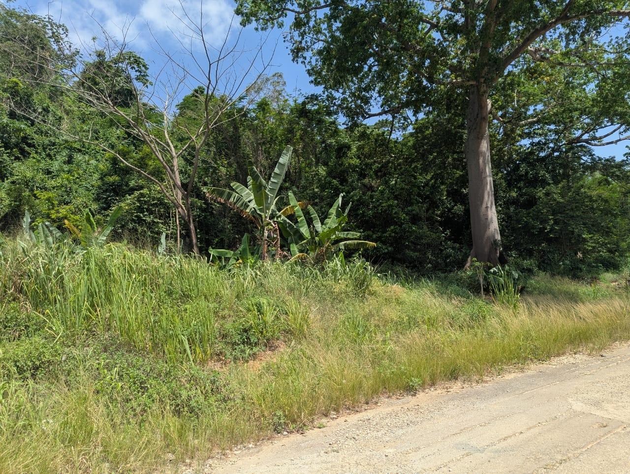 Tenth image of Maverley Mountain in Red Hills, St. Andrew, Jamaica - property is For Sale