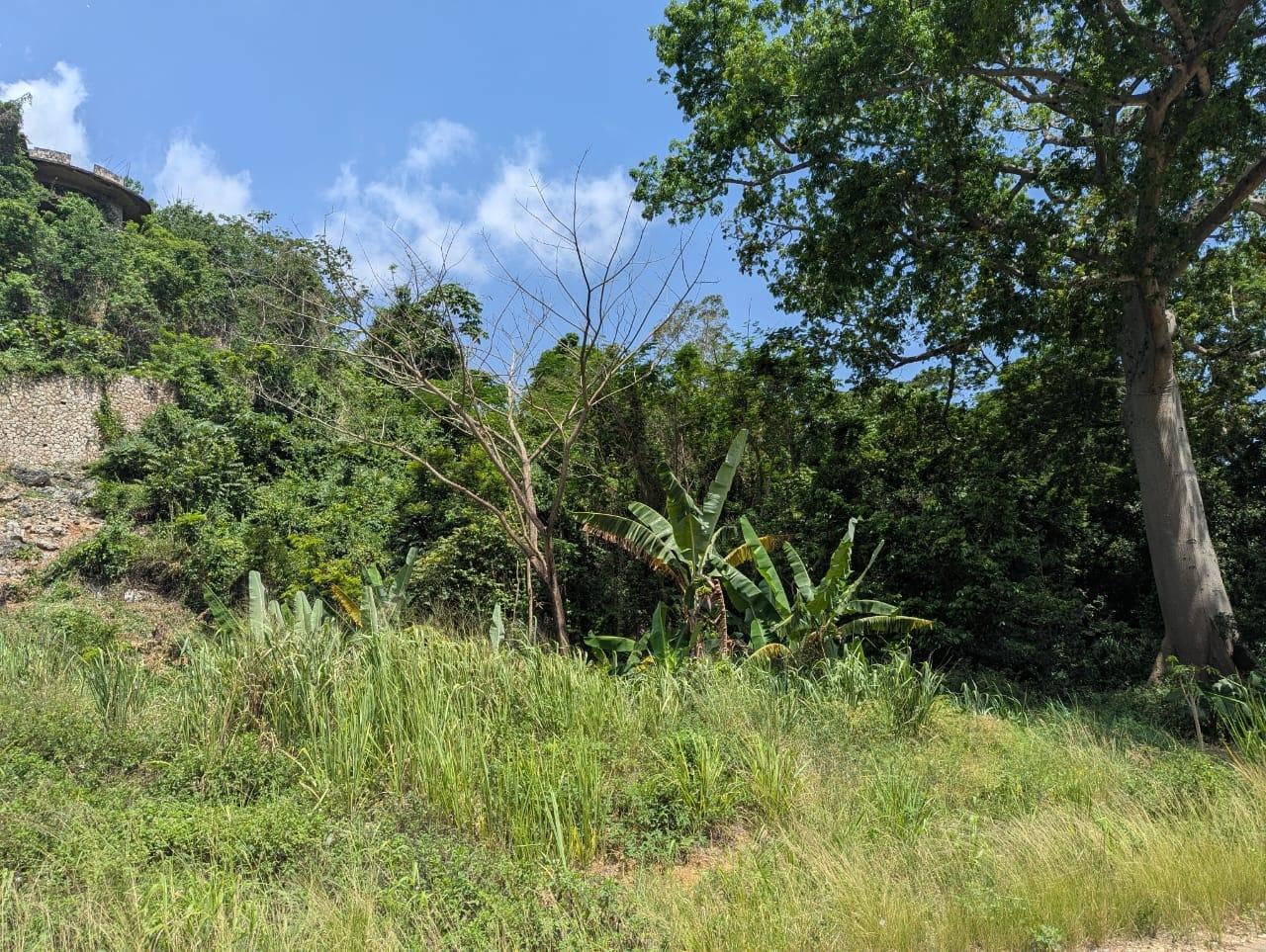 Third image of Maverley Mountain in Red Hills, St. Andrew, Jamaica - property is For Sale