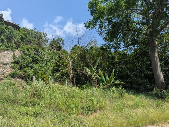 Third image of Maverley Mountain in Red Hills, St. Andrew, Jamaica - property is For Sale