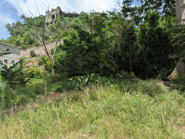 Fifth image of Maverley Mountain in Red Hills, St. Andrew, Jamaica - property is For Sale