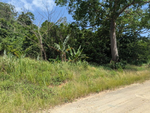 Seventh image of Maverley Mountain in Red Hills, St. Andrew, Jamaica - property is For Sale