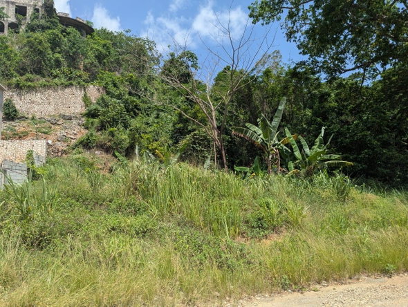 Ninth image of Maverley Mountain in Red Hills, St. Andrew, Jamaica - property is For Sale