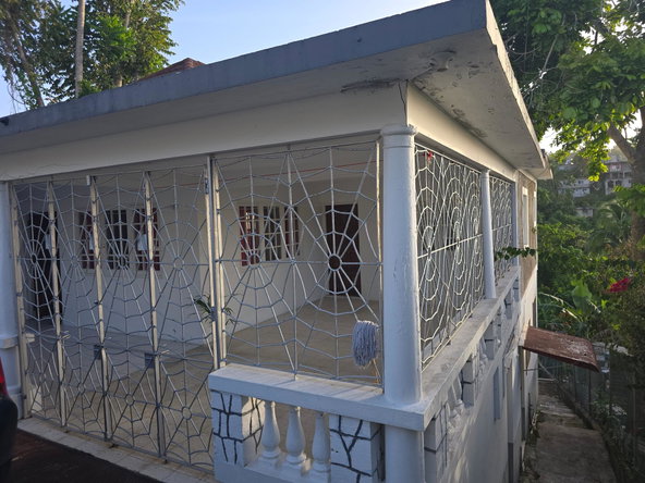 Twenty-Ninth image of Zion, Hopewell in Hopewell, Hanover, Jamaica - property is For Sale