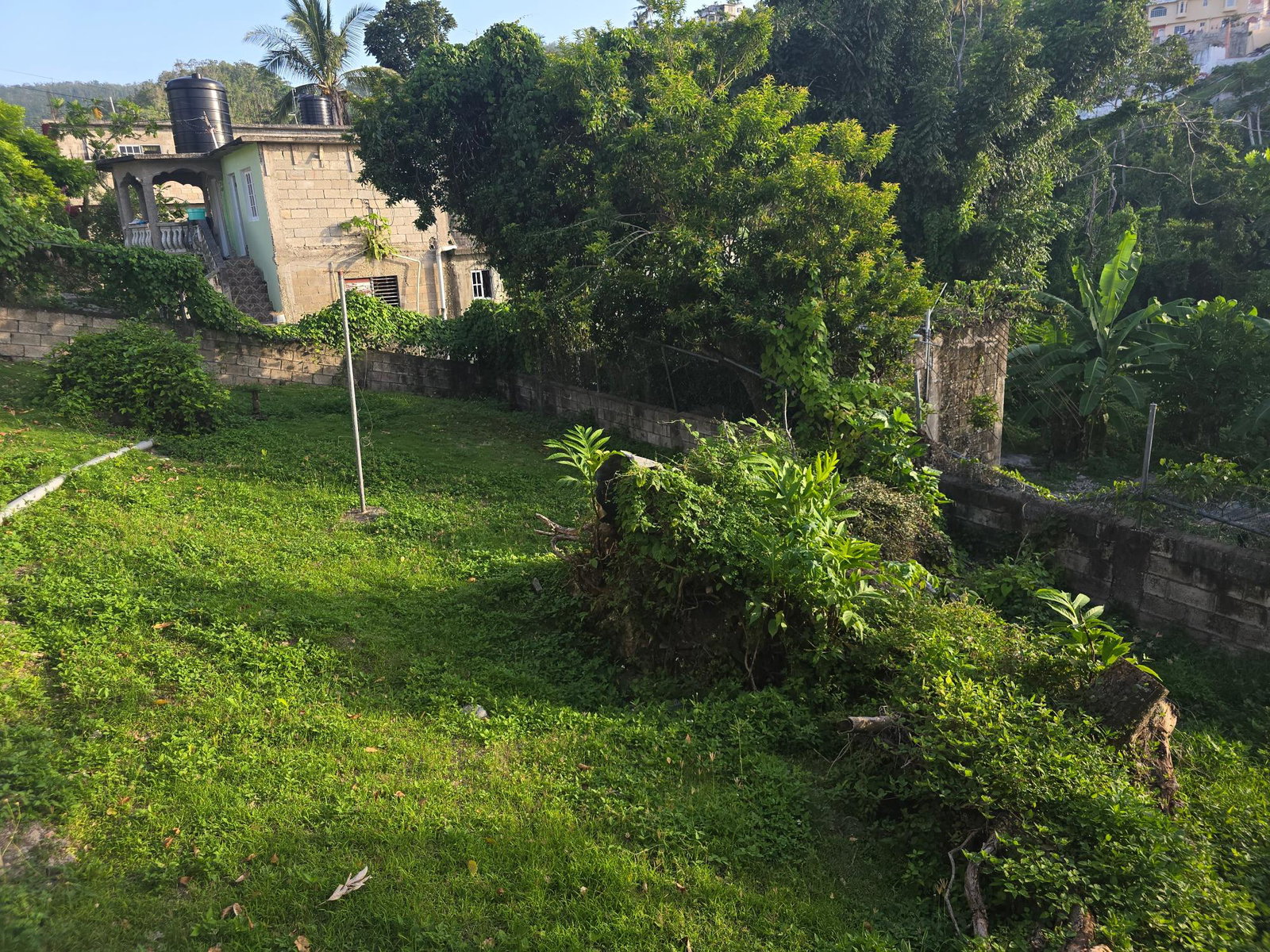 Thirtieth image of Zion, Hopewell in Hopewell, Hanover, Jamaica - property is For Sale