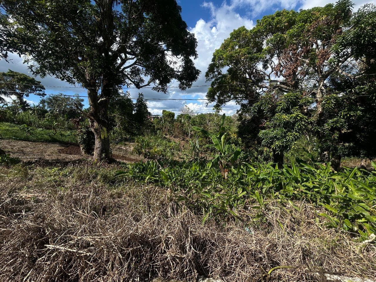 Third image of Part of Garden Hill in Point Hill, St. Catherine, Jamaica - property is For Sale