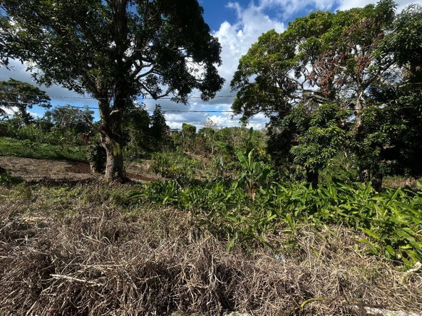 Third image of Part of Garden Hill in Point Hill, St. Catherine, Jamaica - property is For Sale