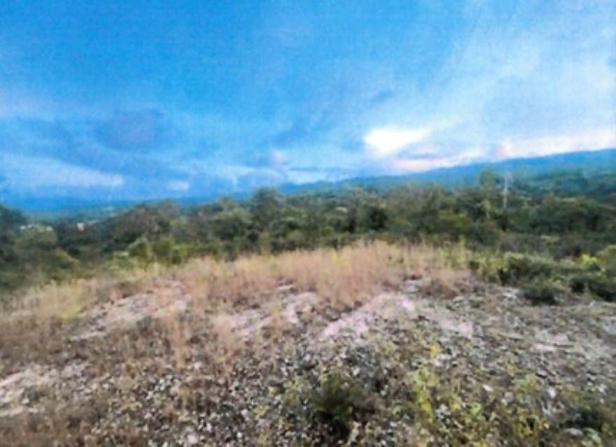 Second image of Smoothland, St. Elizabeth in Leeds, St. Elizabeth, Jamaica - property is For Sale