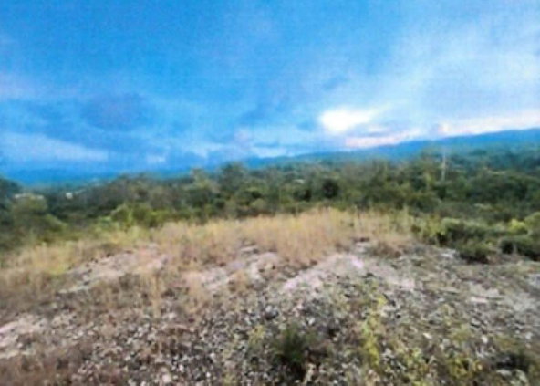 Third image of Smoothland, St. Elizabeth in Leeds, St. Elizabeth, Jamaica - property is For Sale