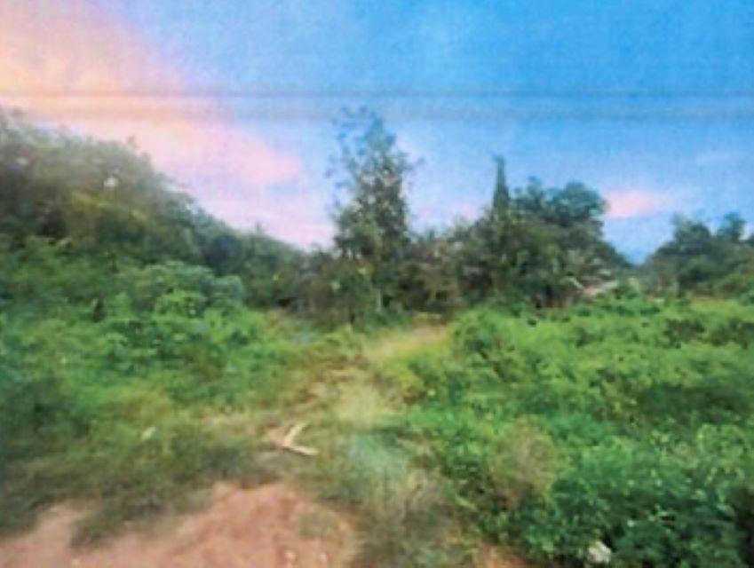 Fourth image of Smoothland, St. Elizabeth in Leeds, St. Elizabeth, Jamaica - property is For Sale