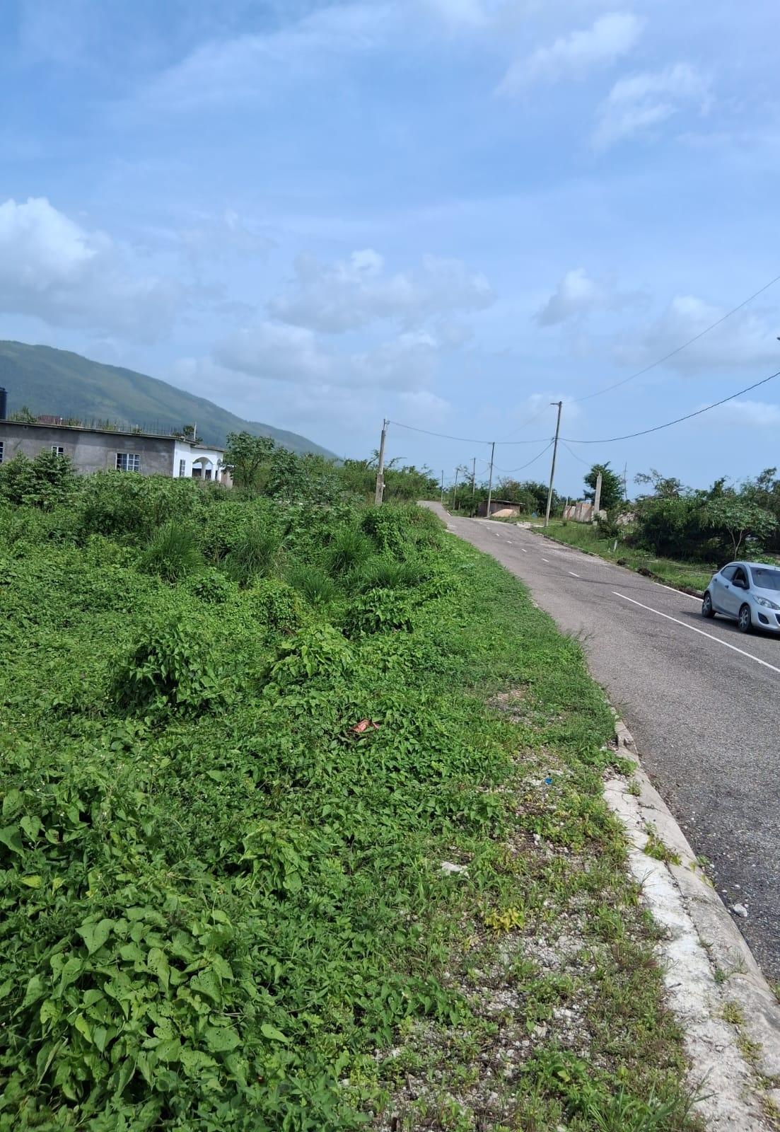First image of Lot 329 Palmbrook Estate in Lacovia, St. Elizabeth, Jamaica - property is For Sale