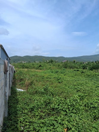 Eleventh image of Lot 329 Palmbrook Estate in Lacovia, St. Elizabeth, Jamaica - property is For Sale
