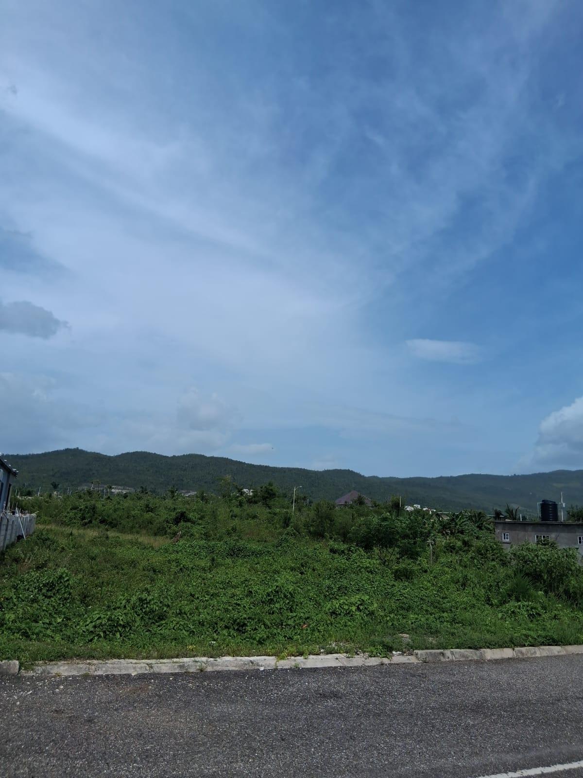 Twelfth image of Lot 329 Palmbrook Estate in Lacovia, St. Elizabeth, Jamaica - property is For Sale