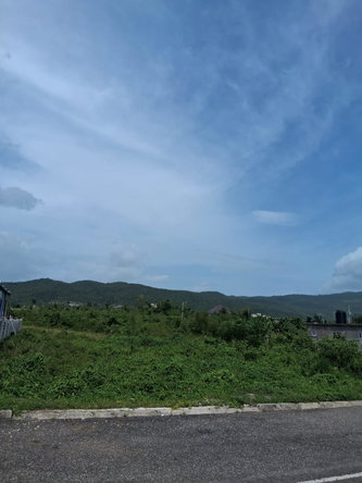 Twelfth image of Lot 329 Palmbrook Estate in Lacovia, St. Elizabeth, Jamaica - property is For Sale