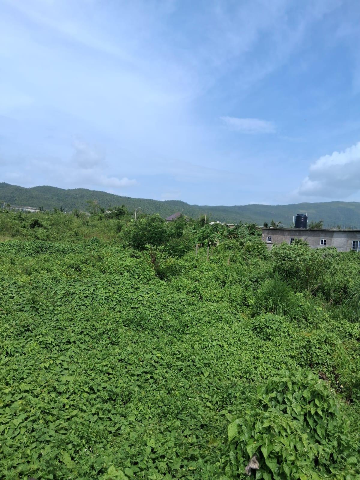 Fourth image of Lot 329 Palmbrook Estate in Lacovia, St. Elizabeth, Jamaica - property is For Sale