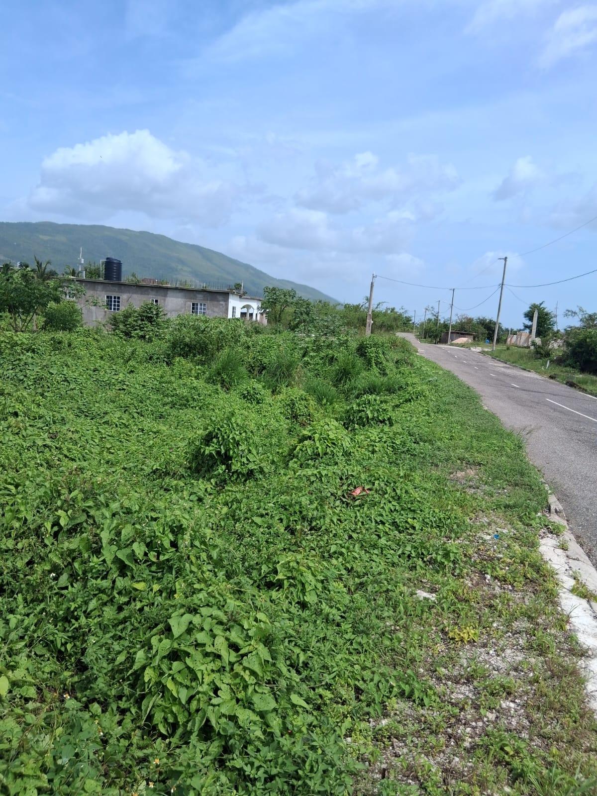 Fifth image of Lot 329 Palmbrook Estate in Lacovia, St. Elizabeth, Jamaica - property is For Sale