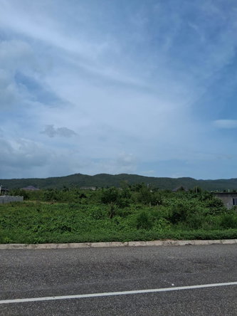 Sixth image of Lot 329 Palmbrook Estate in Lacovia, St. Elizabeth, Jamaica - property is For Sale