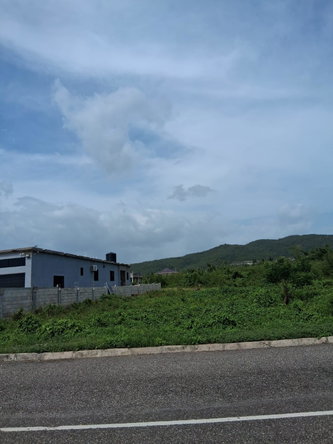 Seventh image of Lot 329 Palmbrook Estate in Lacovia, St. Elizabeth, Jamaica - property is For Sale