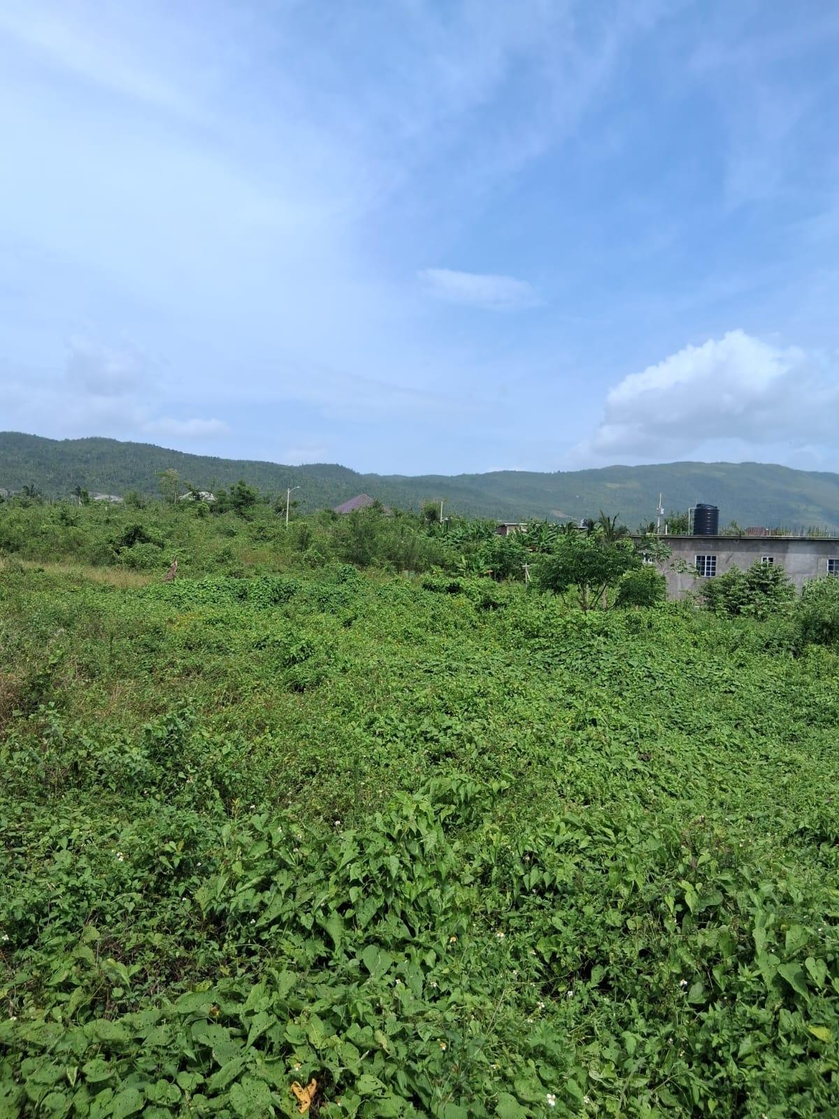 Eighth image of Lot 329 Palmbrook Estate in Lacovia, St. Elizabeth, Jamaica - property is For Sale
