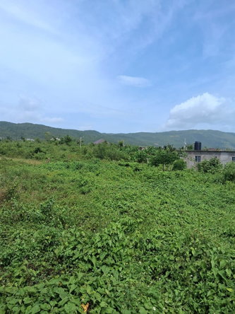 Eighth image of Lot 329 Palmbrook Estate in Lacovia, St. Elizabeth, Jamaica - property is For Sale
