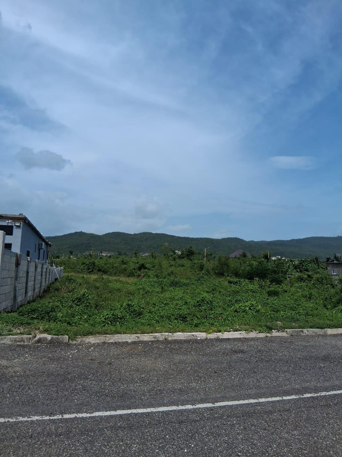 Ninth image of Lot 329 Palmbrook Estate in Lacovia, St. Elizabeth, Jamaica - property is For Sale