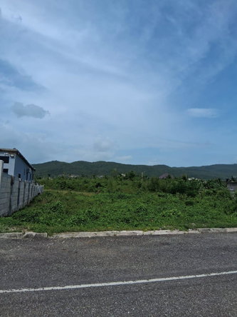 Ninth image of Lot 329 Palmbrook Estate in Lacovia, St. Elizabeth, Jamaica - property is For Sale