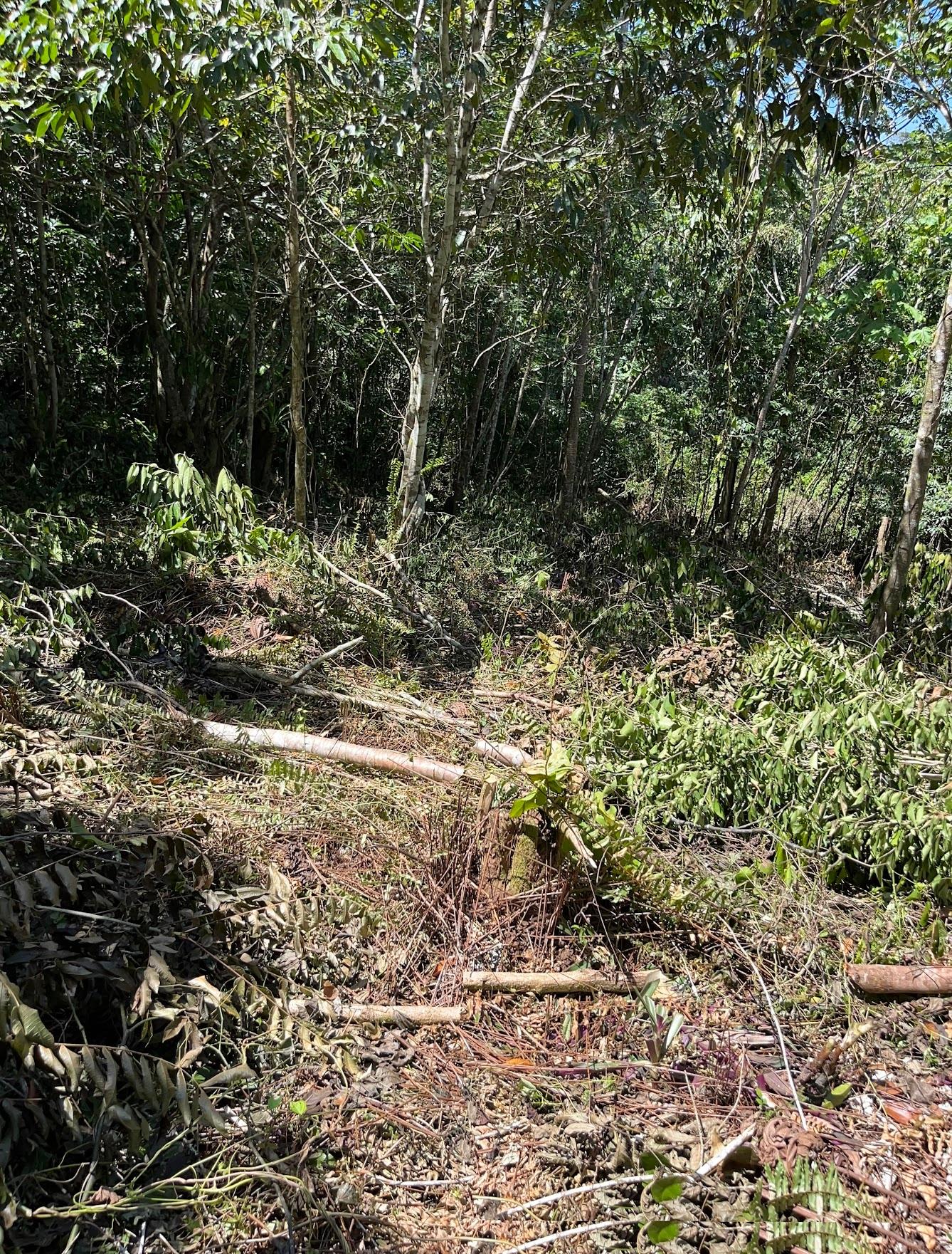 First image of Hard Bargin in Charles Town, St. Mary, Jamaica - property is For Sale