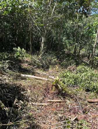 First image of Hard Bargin in Charles Town, St. Mary, Jamaica - property is For Sale