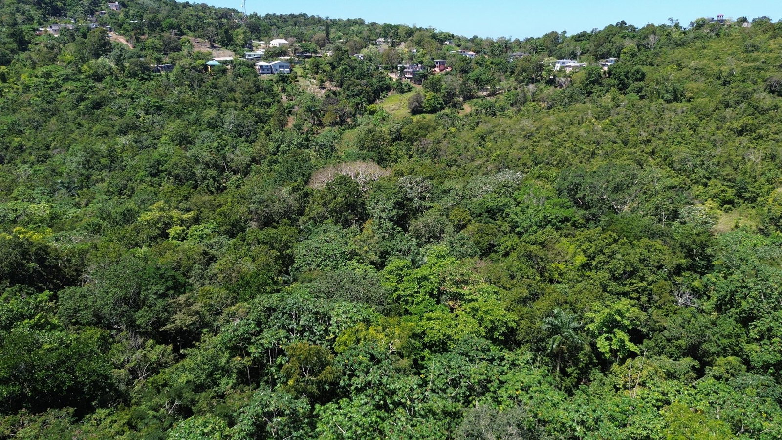 Second image of Hard Bargin in Charles Town, St. Mary, Jamaica - property is For Sale