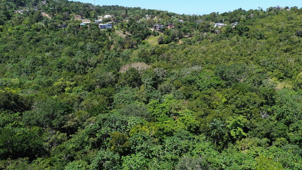 Second image of Hard Bargin in Charles Town, St. Mary, Jamaica - property is For Sale