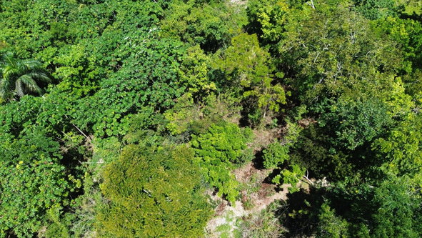 Fifth image of Hard Bargin in Charles Town, St. Mary, Jamaica - property is For Sale