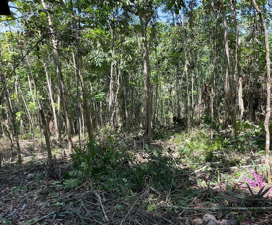 Sixth image of Hard Bargin in Charles Town, St. Mary, Jamaica - property is For Sale