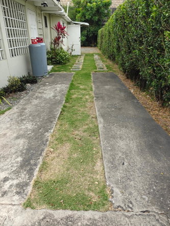 Second image of 5 Liguanea Drive, Kingston in Kingston 6, St. Andrew, Jamaica - property is For Rent
