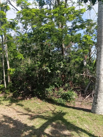 Tenth image of Great River Private in Adelphi, St. James, Jamaica - property is For Sale