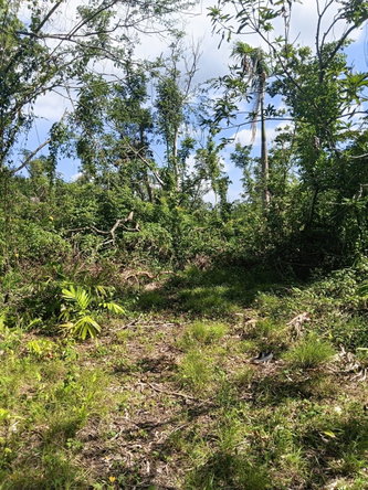 Second image of Great River Private in Adelphi, St. James, Jamaica - property is For Sale