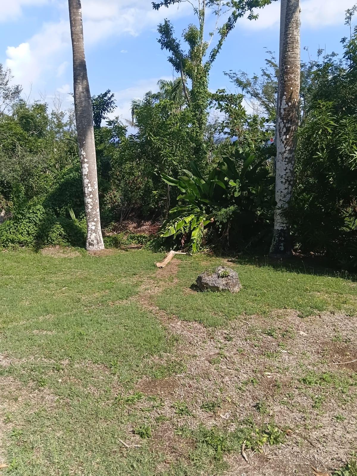 Sixth image of Great River Private in Adelphi, St. James, Jamaica - property is For Sale
